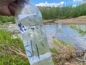 Люди негодуют и возмущаются: что сбрасывают старатели в ручей Левый Нимгеркан в Якутии