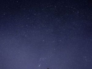 Гороскоп на 31 января 2023 года для всех Знаков Зодиака