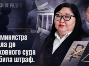 Замминистра дошла до Верховного суда и отбила штраф