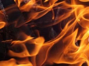 Причиной пожара предполагают… автомобиль