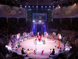 Урезали бюджеты цирку, театрам и кино Якутии