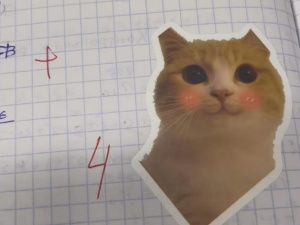 Якутская учительница с котонаклейками: «Креативность и творчество нужны в школе»