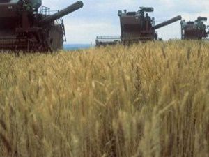 Новая система поможет управлять земельными участками в Якутии