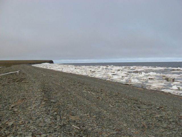 К поискам пропавших в Усть-Янском районе двух мужчин подключится экстрасенс-поисковик