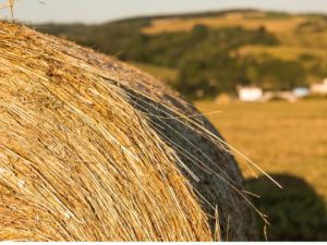 В Нюрбинском улусе пропавшего вчера подростка нашли спящим на сеновале