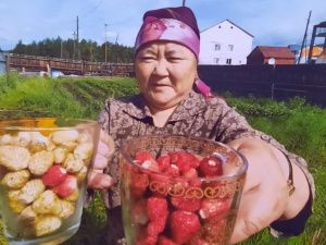 Пенсионерка из Якутии вырастила и собрала огурцы в апреле