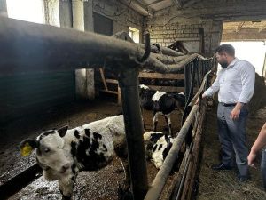 Погода в Якутске 23 июня