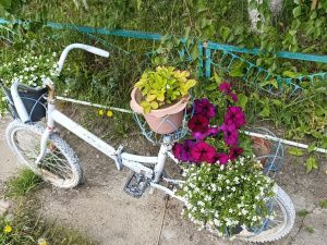 Награждение победителей конкурса "Зеленый кубок столицы 2025" прошло в Парке Победы