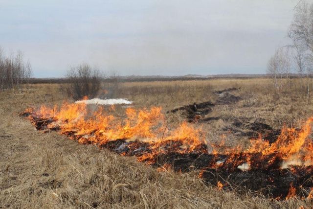 За ущерб от лесного пожара на 241 рубль, якутянина оштрафовали на 50 тысяч и взыскали расходы на тушение в 190 тысяч рублей