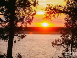 Этот день в календаре. 21 августа