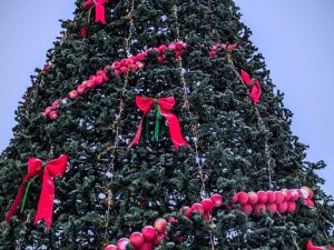 В городском парке Якутска засияет волшебство