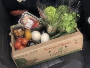 «Саюри» повышает цены на свои огурцы и томаты