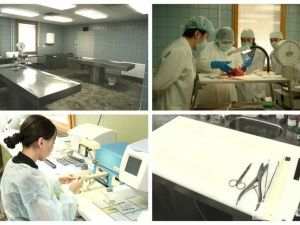 Вскрытие покажет: патологоанатомы рассказали о необычных случаях из практики и тонкостях профессии