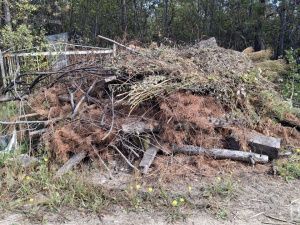 Контроль за работами, ровные ряды и благоустройство территории: что изменится на кладбищах Якутска