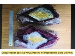 Жительница Нерюнгри пыталась вывезти из республики рассыпное золото на 32 миллиона рублей