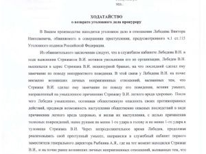Адвокат Стрижака попросил переквалифицировать дело Виктора Лебедева на более строгую статью