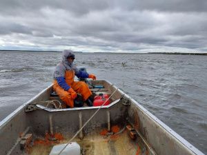 «Муус устар-2024»: Аллаиховский район выставит представителей по семи направлениям фестиваля