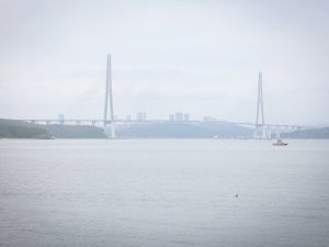 Фоторепортаж с первого дня ВЭФ-2023: улица Дальнего Востока и культурная программа