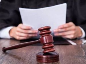 Мужчина, жестоко избивший собаку, получил условный срок