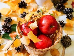 В УФСИН состоялся осенний фестиваль для сотрудников и членов семей