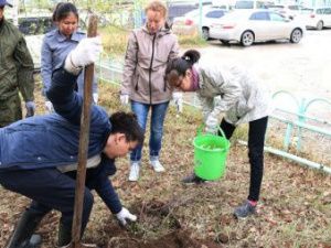 В рамках в рамках Всероссийского дня посадки леса в Якутске высадят 10 тысяч саженцев