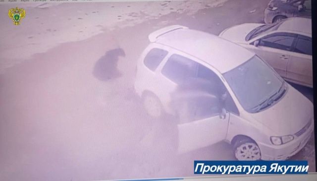 В Якутске водитель с 20-летним стажем сдал назад и сбил 2-летнего ребенка на парковке: малыш получил тяжелые травмы