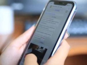 В МВД республики рассказали о самых распространенных схемах кибераферистов