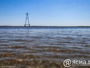 Авито запустил поиск помощи пострадавшим от паводка в Оренбургской области