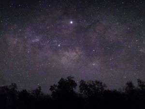 Гороскоп на 1 июля 2025 года для всех знаков зодиака