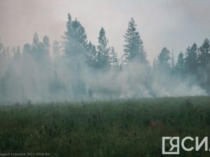 Более 45 термоточек обнаружили в Якутии