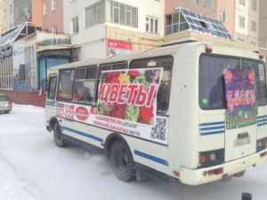 О начале приема заявок на право установки временной торговой точки по продаже цветов к 8 марта