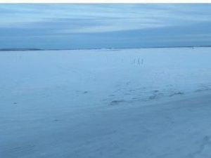 В Якутии в непогоду пропали двое человек