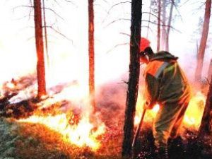 Рослесхоз рассчитывает в течение одной-двух недель ликвидировать основные пожары в Якутии