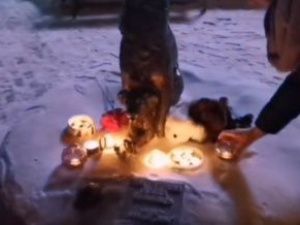 Злата Сычева: «Мы будем добиваться, чтобы виновные были наказаны за это жестокое массовое убийство»