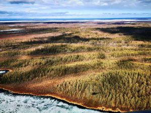 Все лесные пожары потушены в Якутии