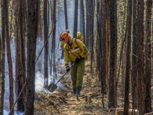 Свыше 1,8 тысяч человек борются с лесными пожарами в Якутии