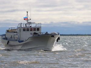 На "Ковчеге" за овцебыками для Плейстоценового парка