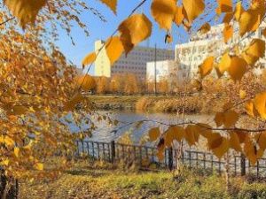 Прогноз погоды в Якутске на 1 октября