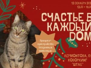 В Якутске состоится ярмарка по пристройству бездомных животных