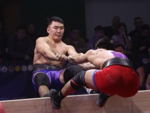 Амгинский улус стал обладателем Кубка Федерации по мас-рестлингу Якутии