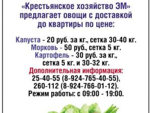 Овощи от крестьянского хозяйства "Эм" с доставкой!