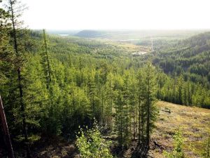 В Якутии в пожароопасный сезон проведено более 3 тысяч патрулирований лесов