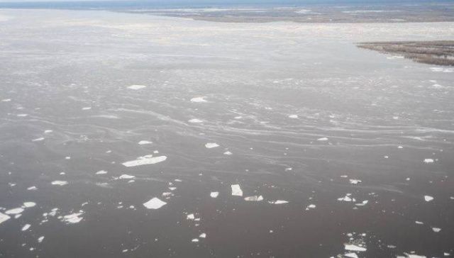 Паводок-2020: на Лене продолжается понижение уровня воды