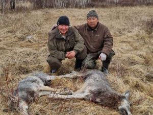 Отважный якутский охотник один против стаи волков