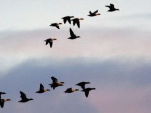 В Якутии дожди, в Якутске без осадков