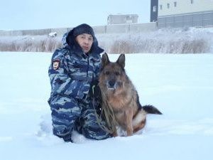 Служебная овчарка Рекс помогла раскрыть кражу велосипеда