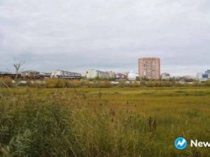 Во вторник в Якутске ожидается до плюс 20 градусов