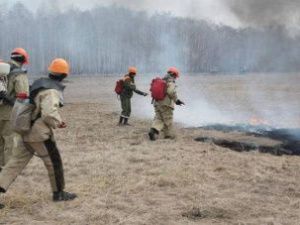 В Якутии на охрану лесов от пожаров после вмешательства прокуратуры выделили еще свыше 64 млн рублей
