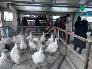 В селах Якутии введены новые сельскохозяйственные объекты