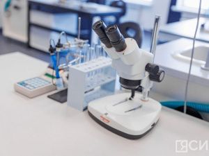 Глава Якутии попросил президента России поддержать строительство межвузовского кампуса в Якутске